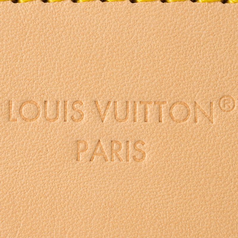 Louis Vuitton Shoulder Bag Odyss Ey PM Brown — view 8