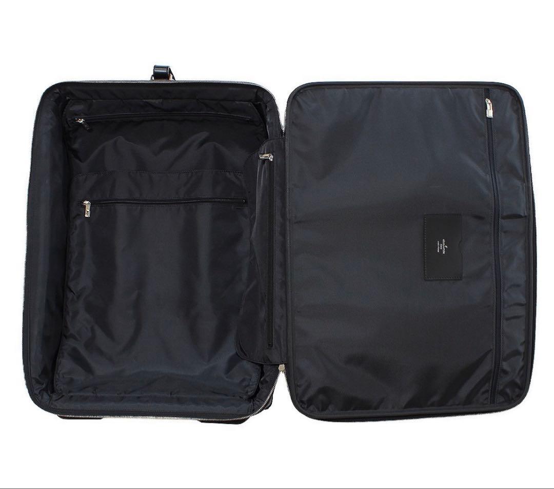 Louis Vuitton Taiga Pegase 55 Carry Case Suitcase Travel — view 9