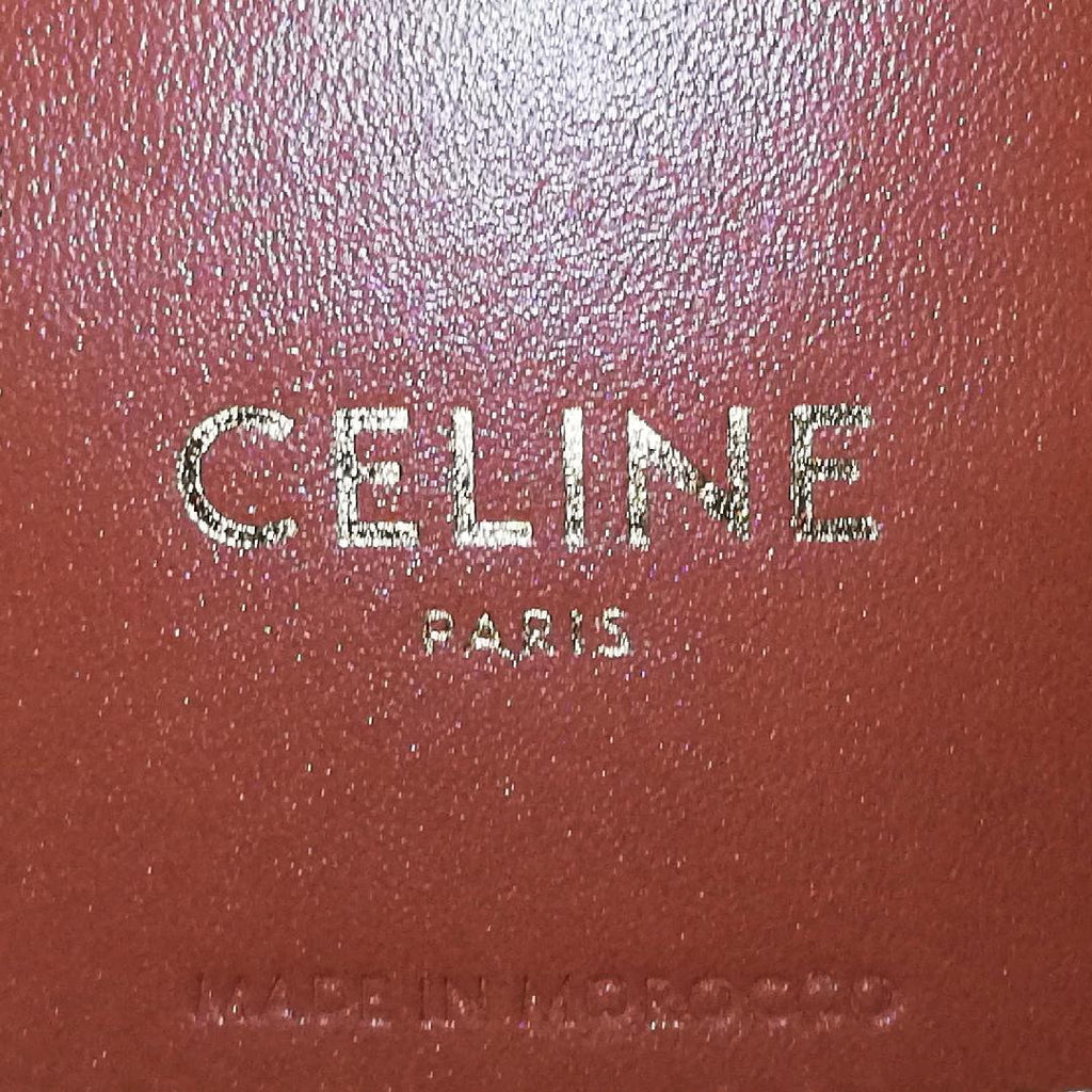 Celine Trio Raffia Tote — view 5