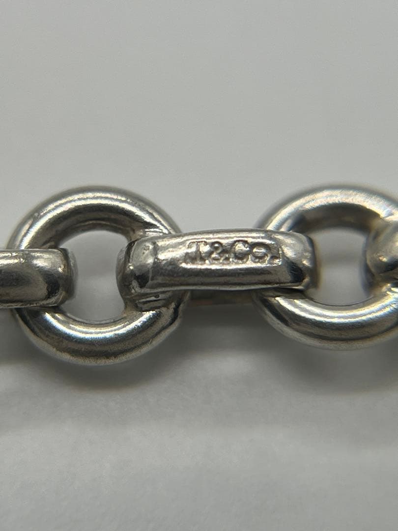 Tiffany & Co Roulis Chain Necklace — view 3