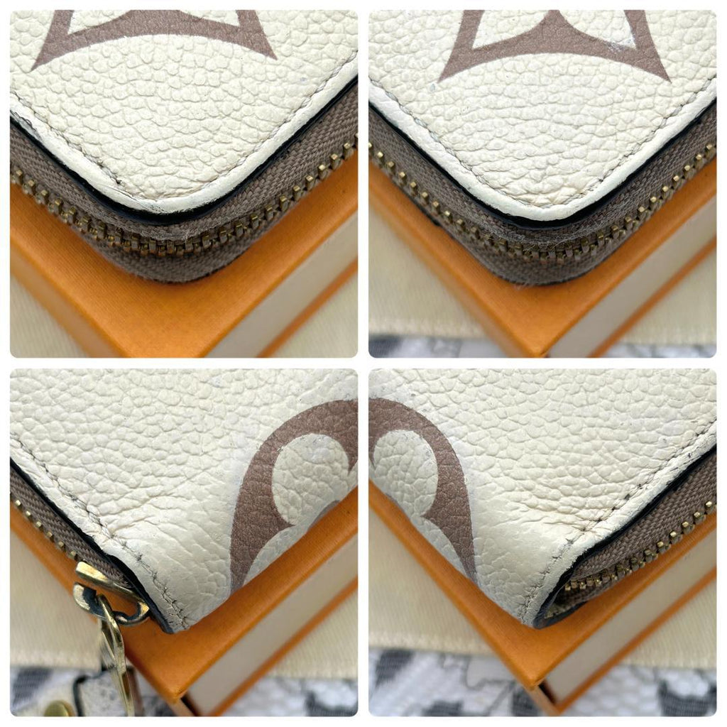 Louis Vuitton Bicolor Zippy Wallet — view 5