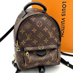 Louis Vuitton Monogram Palm Springs Backpack Mini