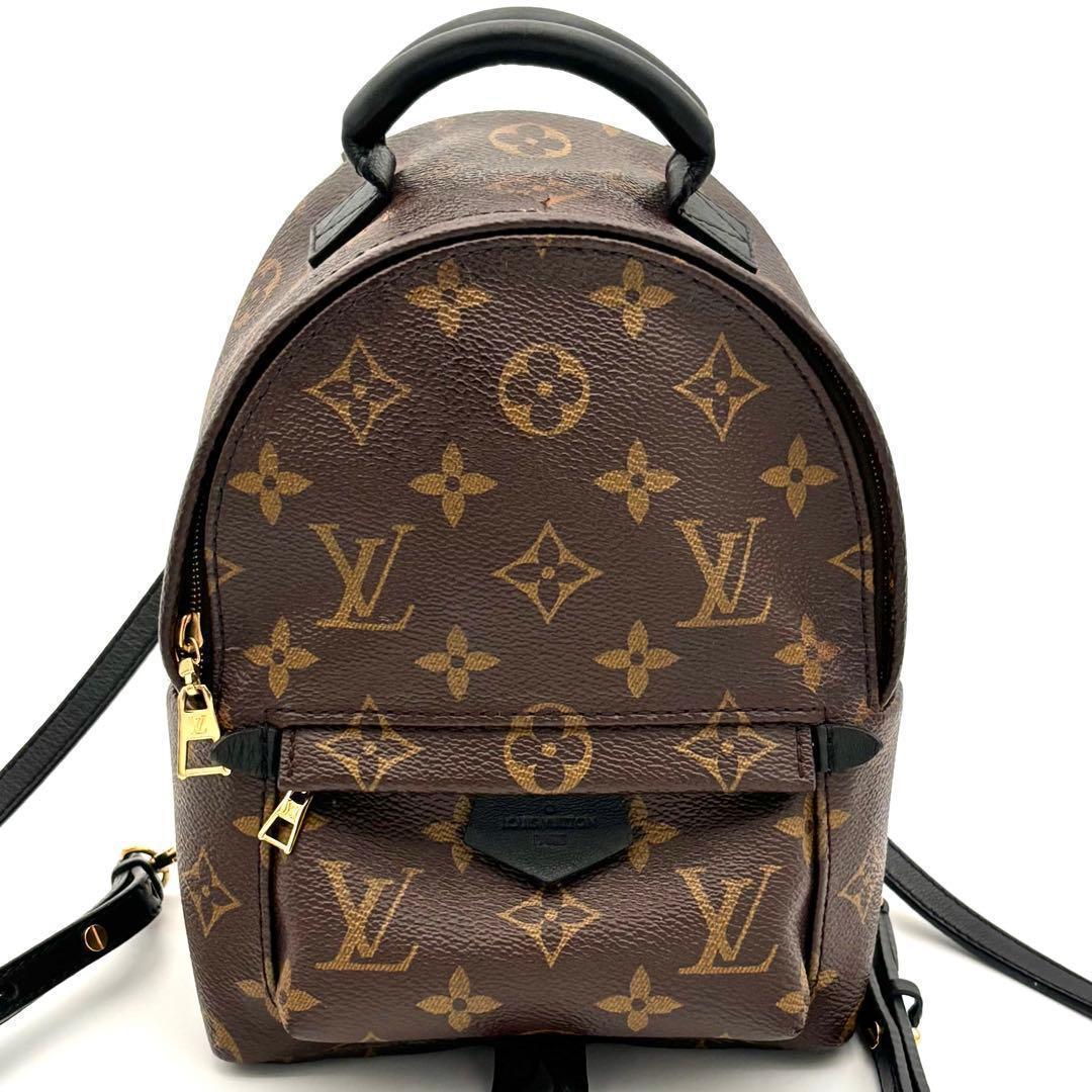 Louis Vuitton Monogram Palm Springs Backpack Mini — view 2