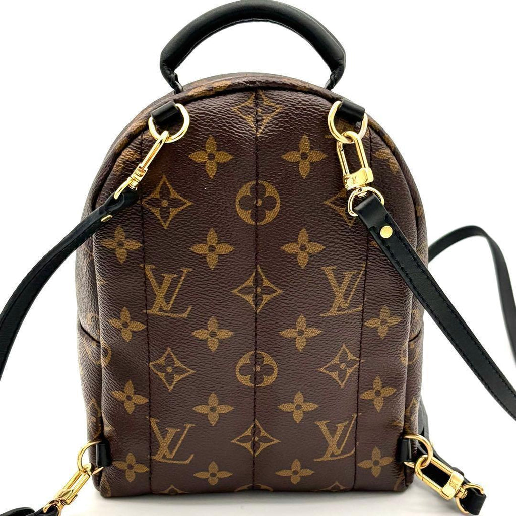 Louis Vuitton Monogram Palm Springs Backpack Mini — view 3