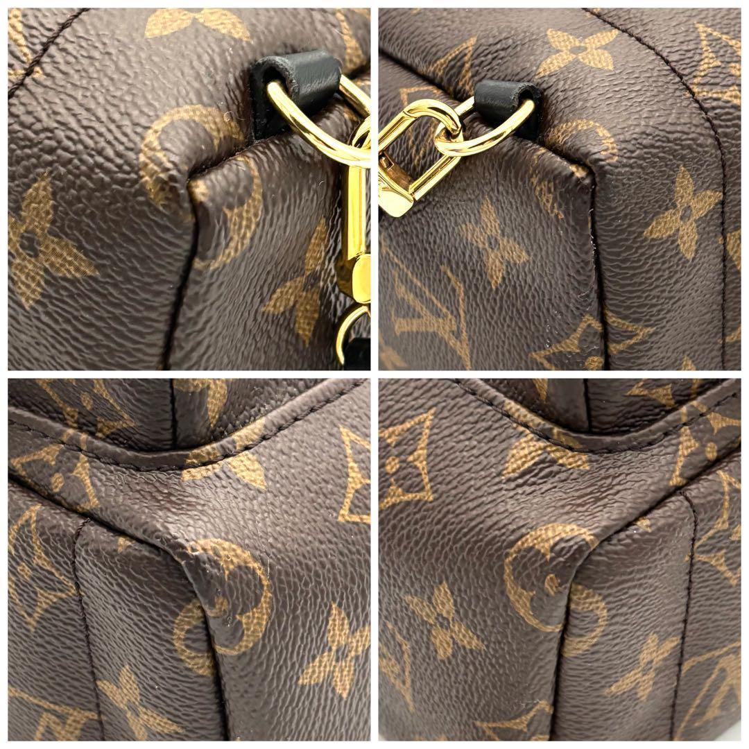 Louis Vuitton Monogram Palm Springs Backpack Mini — view 6