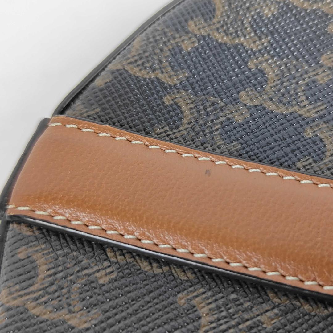 Celine Round Purse Triomphe Canvas Shoulder Bag — view 5