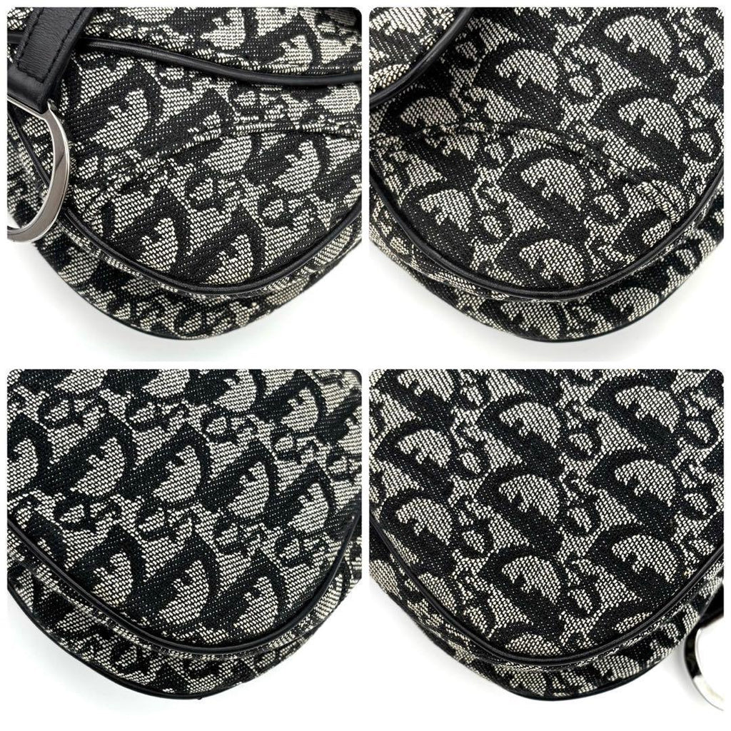 Dior Trotter Double Saddle Bag Gray — view 9