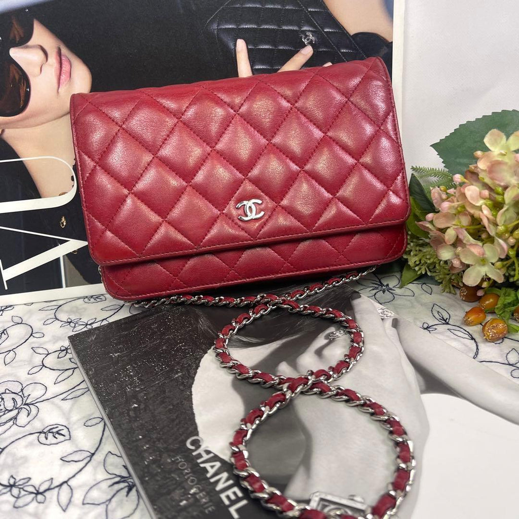 Chanel Chain Wallet Quilted Shoulder Bag