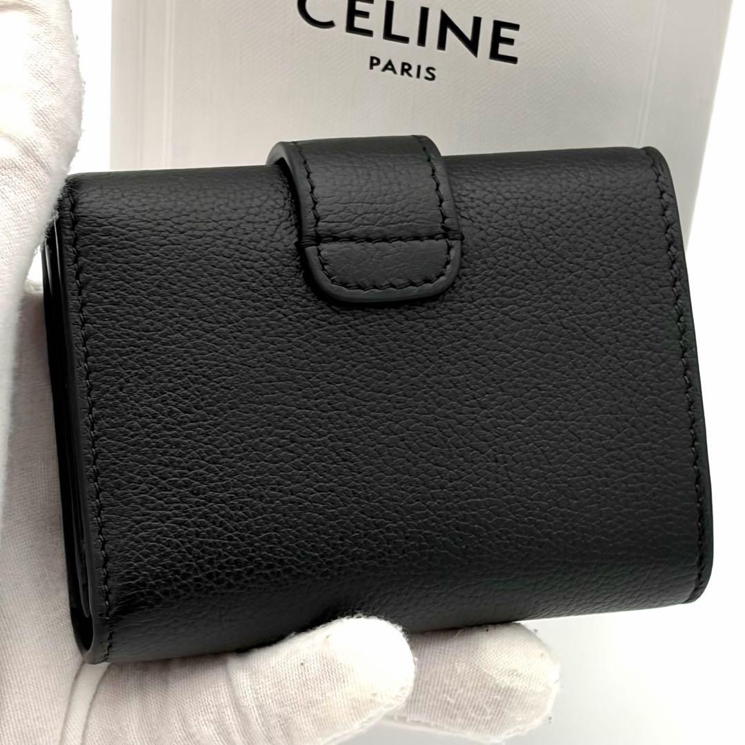 Celine Wallet Fine Strap Triomphe Black — view 2