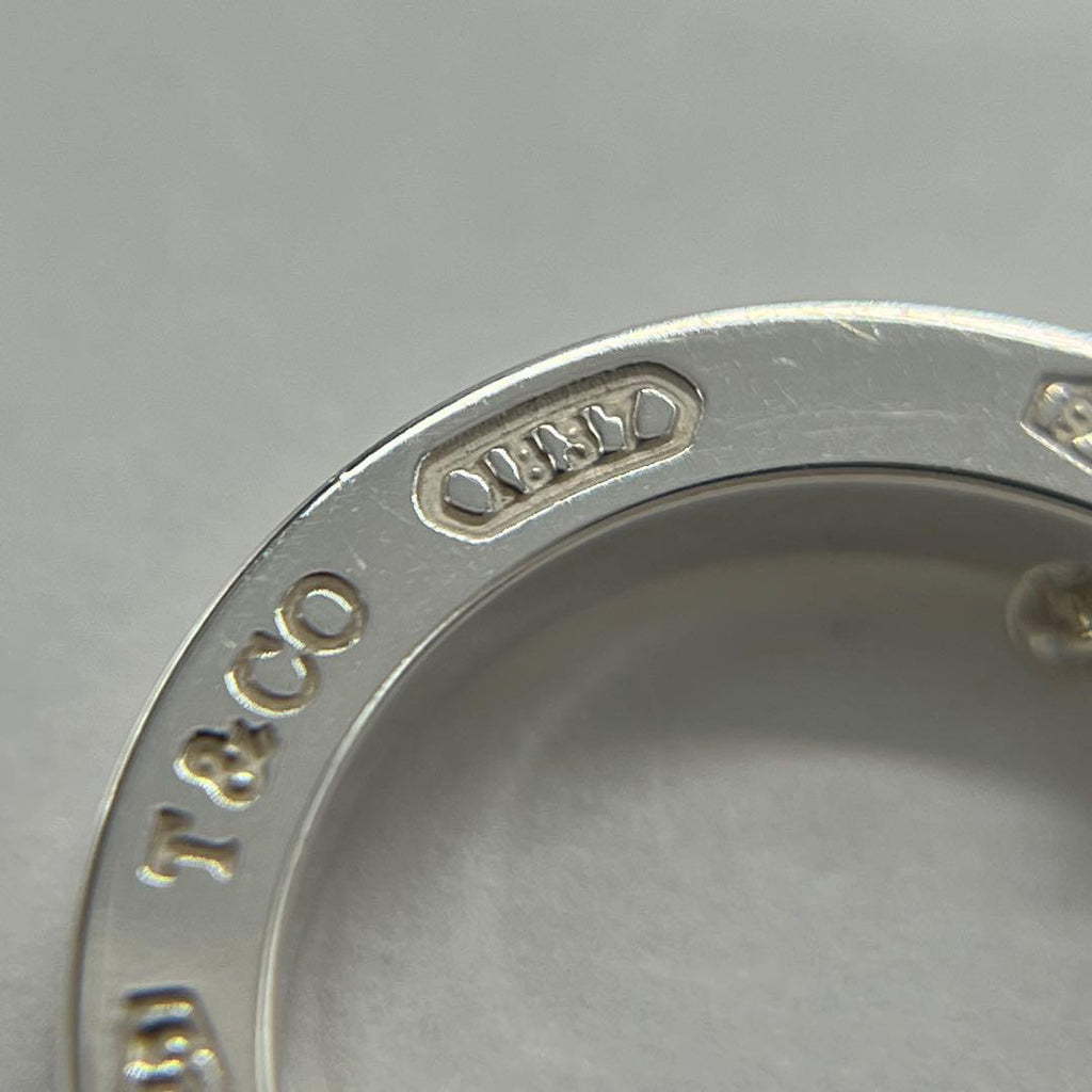 Tiffany & Co. Circle Pendant Necklace