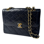 Chanel Quilted Limited Edition Color Mini Chain