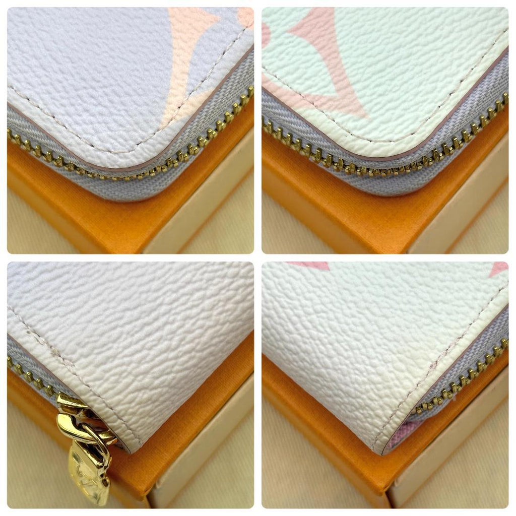 Louis Vuitton Gradation Monogram Zippy Wallet — view 5