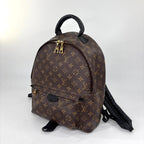 Louis Vuitton Monogram Palm Springs MM Backpack — view 2