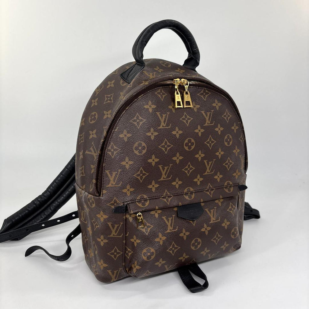 Louis Vuitton Monogram Palm Springs MM Backpack — view 3