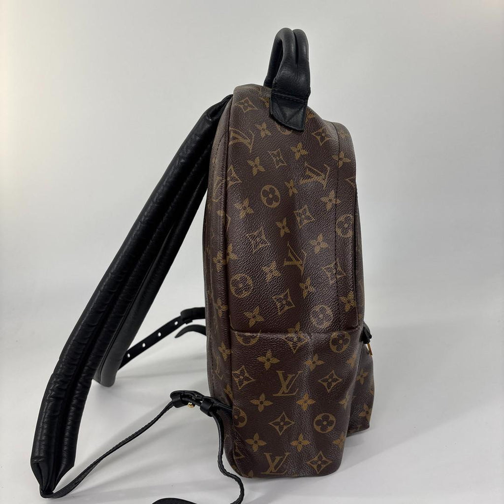 Louis Vuitton Monogram Palm Springs MM Backpack — view 4