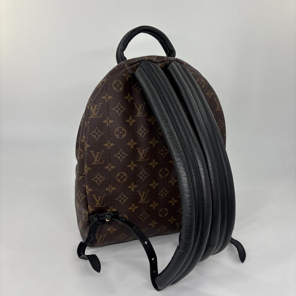 Louis Vuitton Monogram Palm Springs MM Backpack — view 5