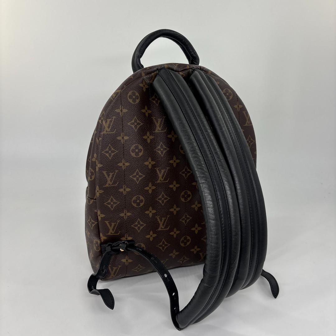 Louis Vuitton Monogram Palm Springs MM Backpack — view 5