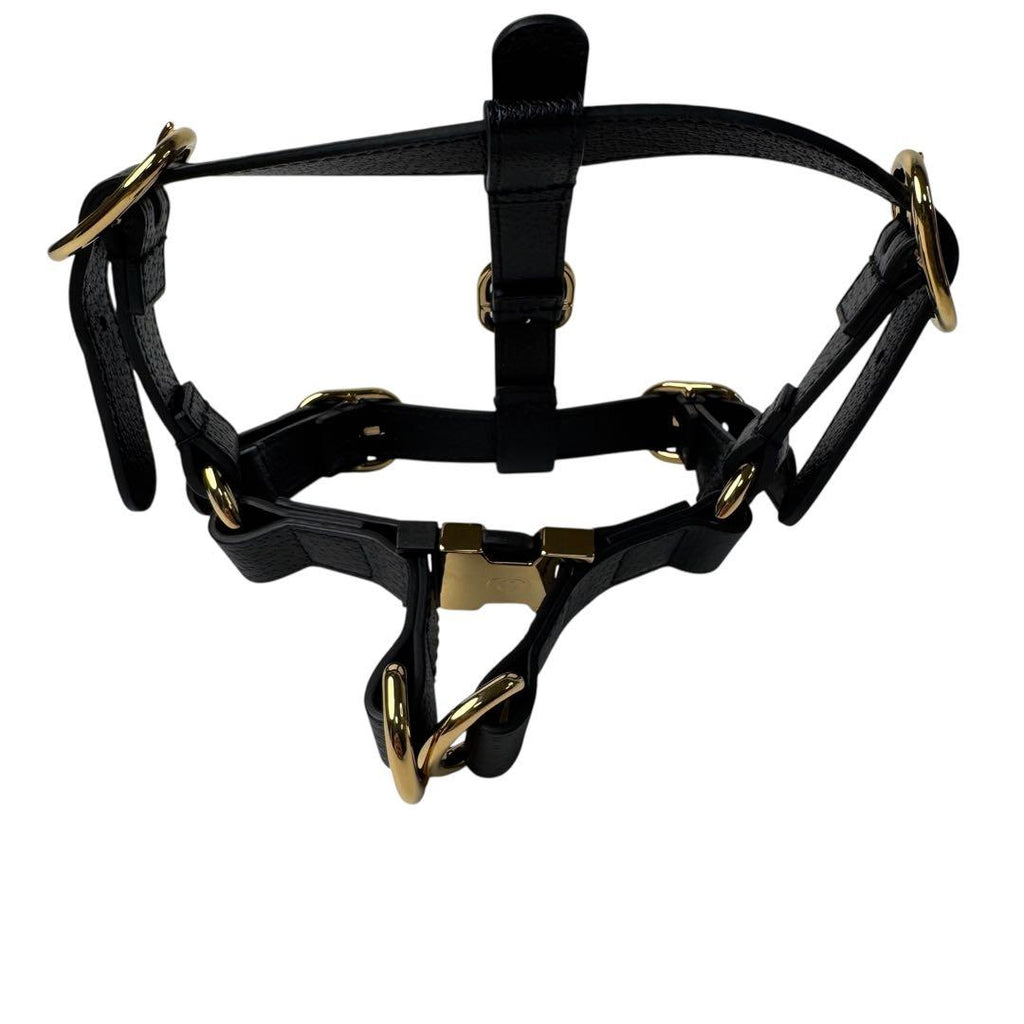 Gucci Interlocking Harness Dog Leather Pet Accessory — view 3