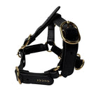 Gucci Interlocking Harness Dog Leather Pet Accessory — view 4
