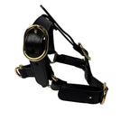 Gucci Interlocking Harness Dog Leather Pet Accessory — view 5