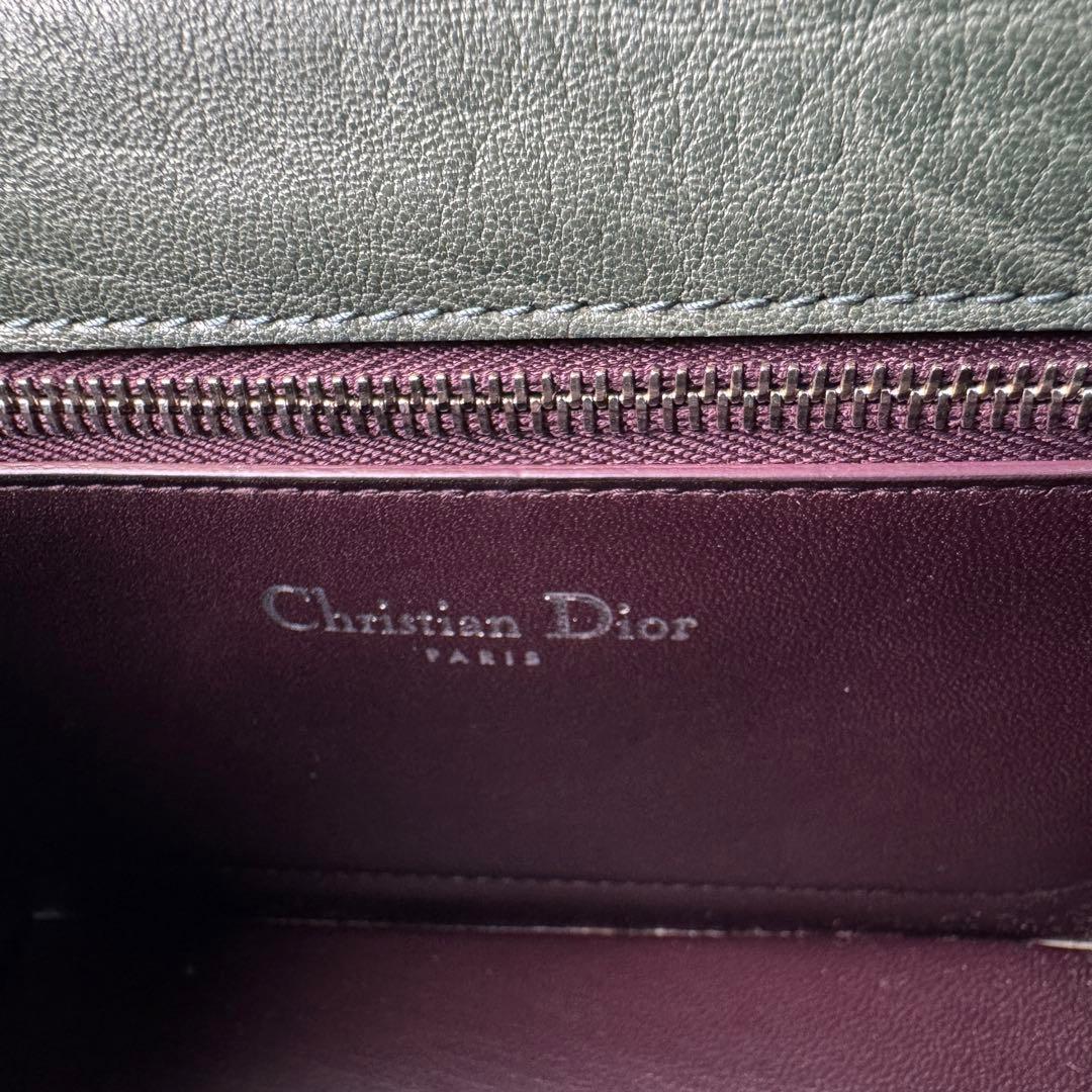 Diorama Club Emblem Chain Shoulder Bag Dragonfly — view 8
