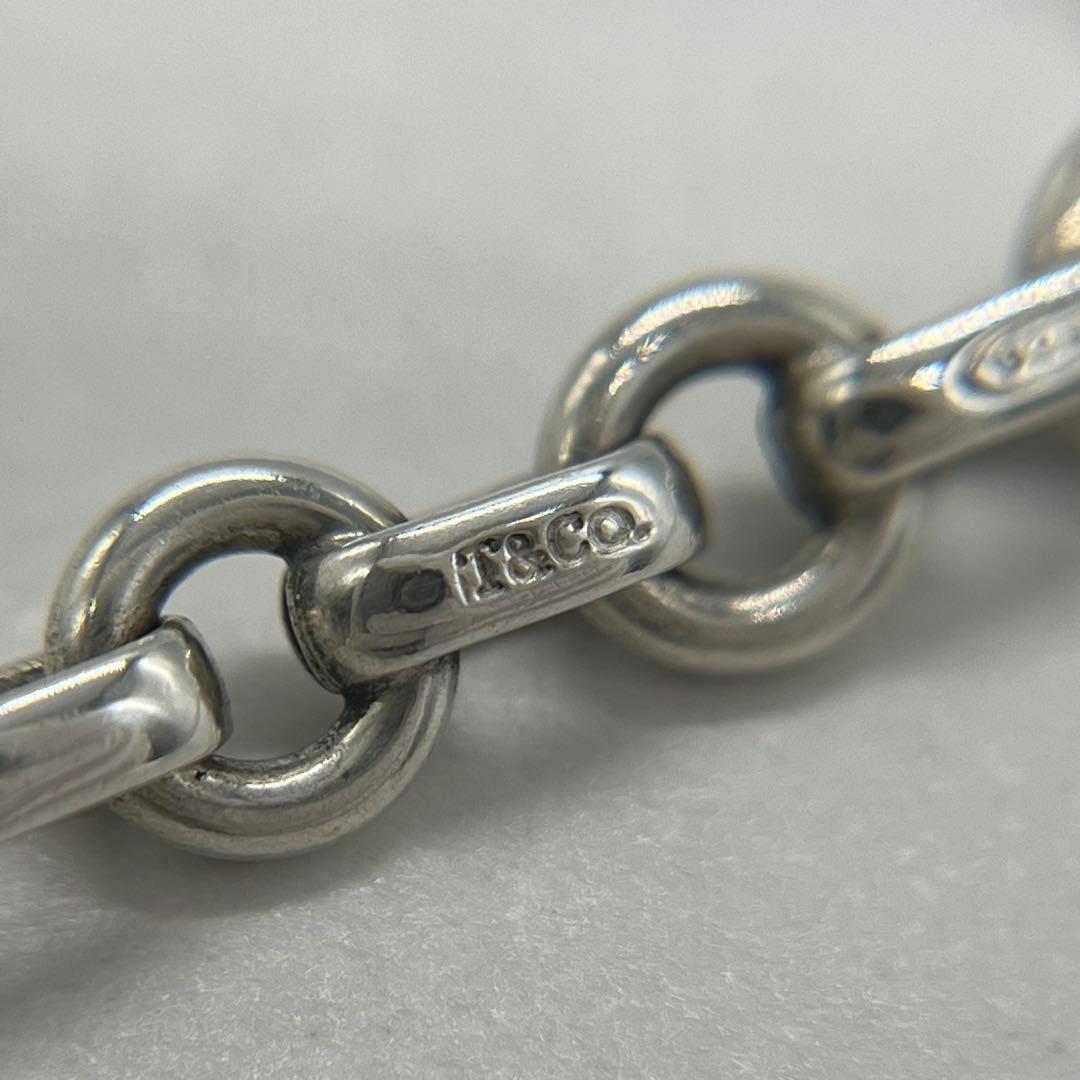 Tiffany & Co Roulis Chain Necklace — view 5