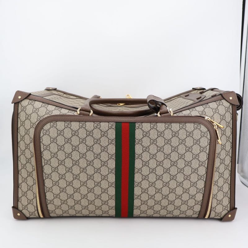 Gucci GG Small Pet Carry with Web Stripe — view 5