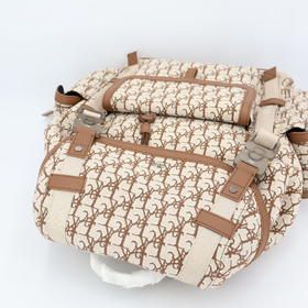 Christian Diortravis Scott Oblique Clique Beige — view 3