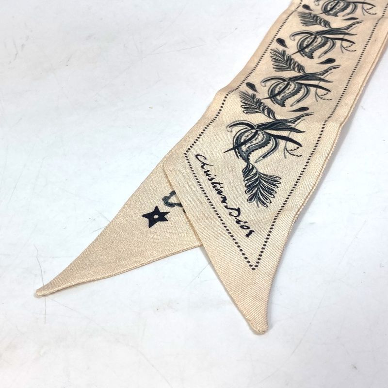 Dior Scarf Logo Mitzvah Silk Beige — view 5