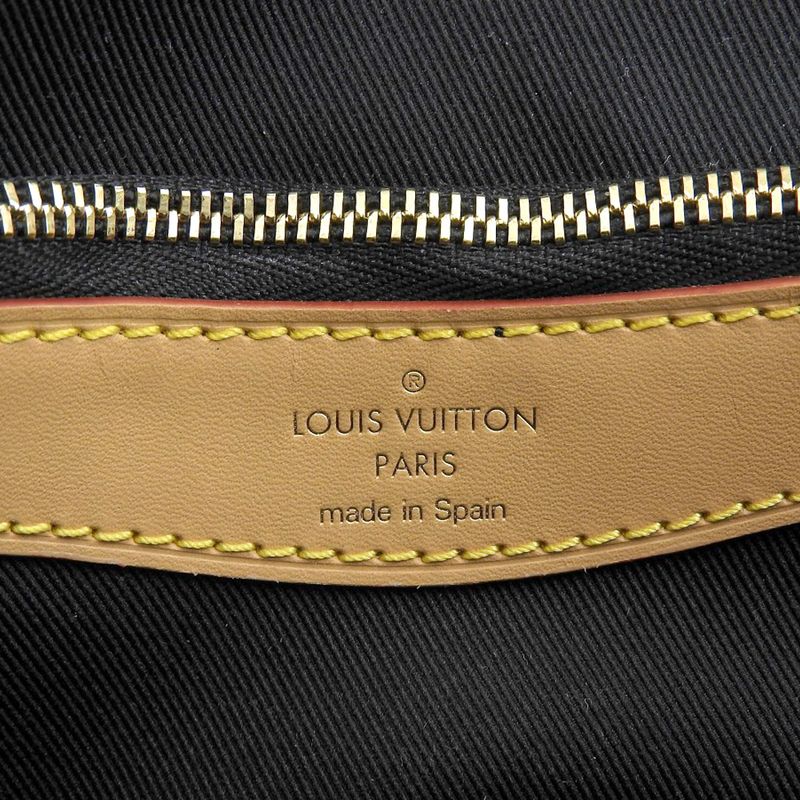 Louis Vuitton Monogram Diane Nm PM Shoulder Bag — view 8