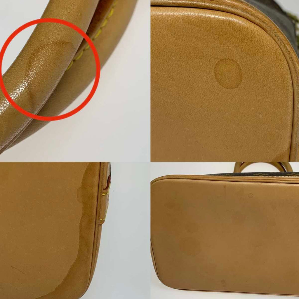 Louis Vuitton Monogram Speedy Handbag — view 9