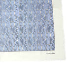 Dior Shawl Logo Light Blue Ivory Wool Cashmere Silk Large Fringe — view 6