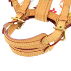 Louis Vuitton Theda PM Monogram Multicolor Bron Handbag 1372 — view 5