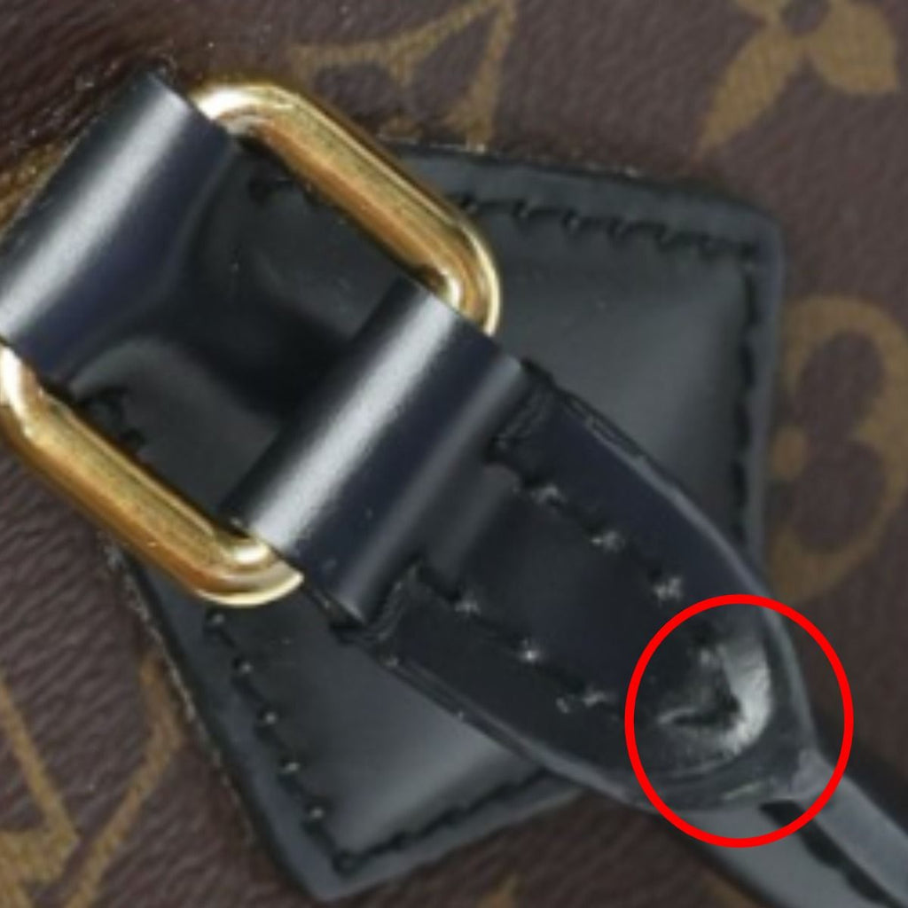 Louis Vuitton Monogram Handbag Phoenix PM Brown — view 8