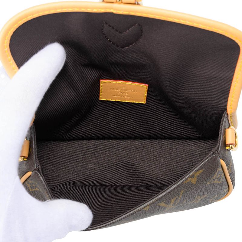 Louis Vuitton Shoulder Bag Nano Diane Brown — view 5