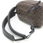 Louis Vuitton Monogram Reverse Palm Springs Backpack PM — view 4