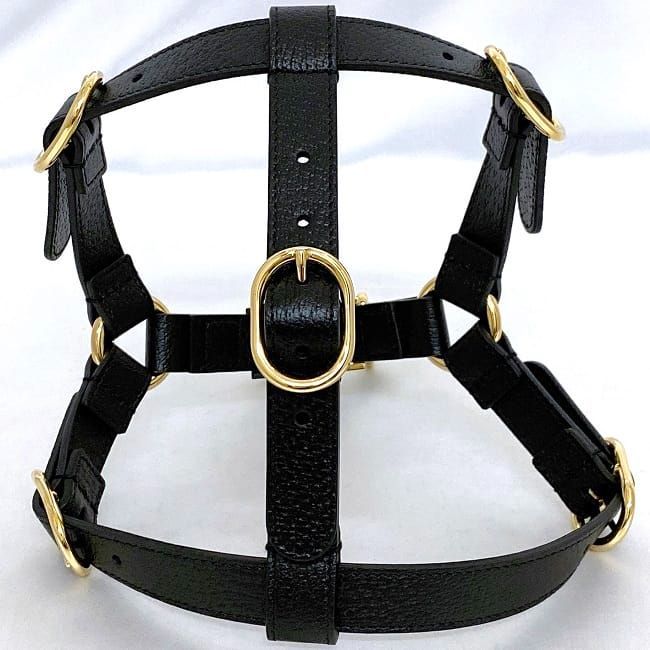 Gucci Harness Black Interlocking Never — view 4