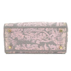 Christian Dior Handbag Lady D-light — view 4
